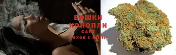 a pvp Ельня