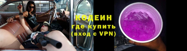 ГАЛЛЮЦИНОГЕННЫЕ ГРИБЫ Елабуга