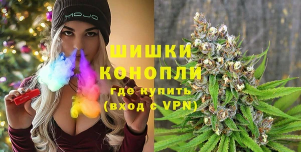 a pvp Ельня