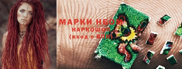 ГАЛЛЮЦИНОГЕННЫЕ ГРИБЫ Елабуга