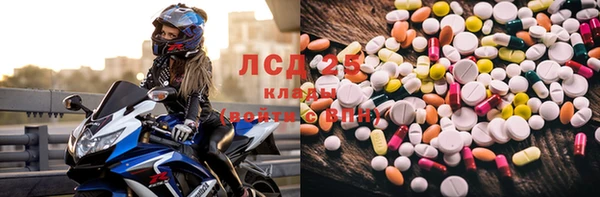 ГАЛЛЮЦИНОГЕННЫЕ ГРИБЫ Елабуга