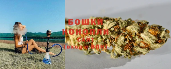 a pvp Ельня