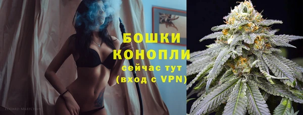 a pvp Ельня