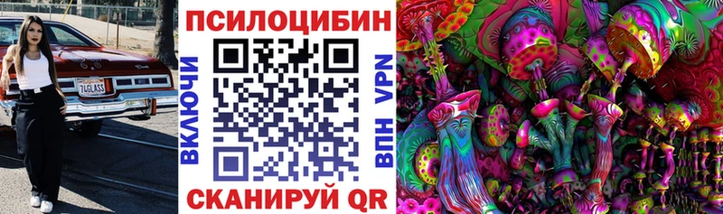 Псилоцибиновые грибы ЛСД  Купить закладки  Ковылкино 